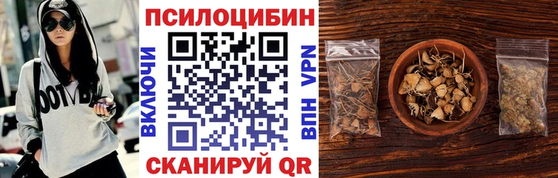 OMG tor  Кизел  Псилоцибиновые грибы мухоморы  закладка 
